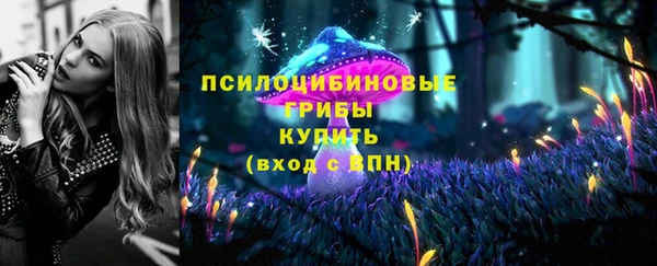 мяу мяу мука Алексин