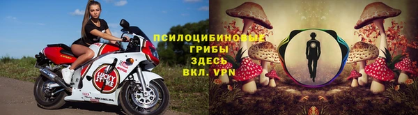 ПСИЛОЦИБИНОВЫЕ ГРИБЫ Ростов